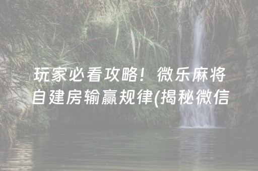 玩家必看攻略！微乐麻将自建房输赢规律(揭秘微信里攻略插件)