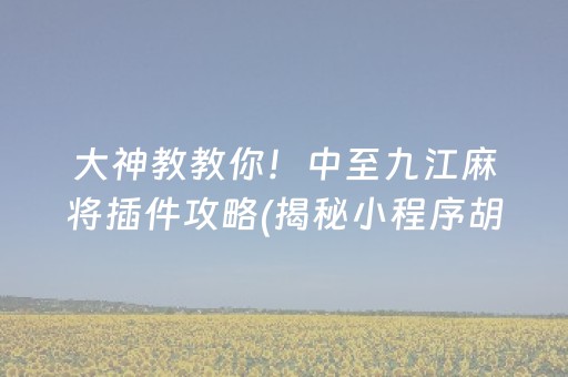 大神教教你！中至九江麻将插件攻略(揭秘小程序胡牌神器)
