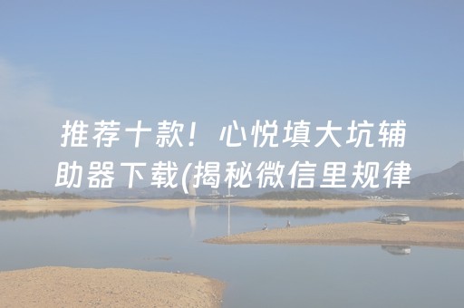 推荐十款！心悦填大坑辅助器下载(揭秘微信里规律攻略)