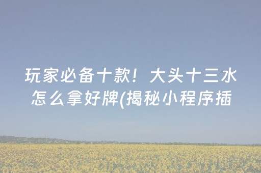 玩家必备十款！大头十三水怎么拿好牌(揭秘小程序插件购买)