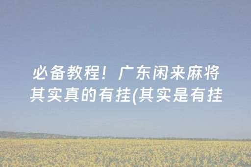 必备教程！广东闲来麻将其实真的有挂(其实是有挂确实有挂)