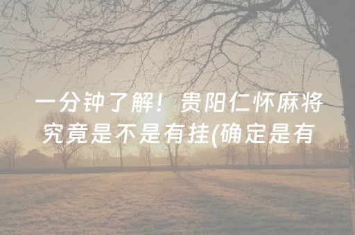 一分钟了解！贵阳仁怀麻将究竟是不是有挂(确定是有挂)