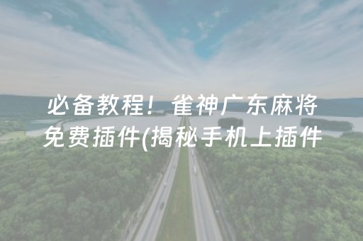 必备教程！雀神广东麻将免费插件(揭秘手机上插件购买)