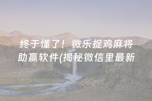 终于懂了！微乐捉鸡麻将助赢软件(揭秘微信里最新神器下载)