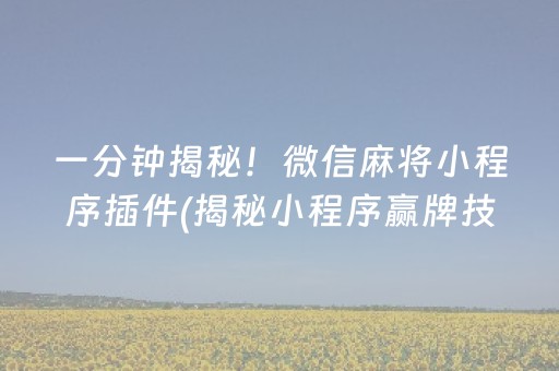 一分钟揭秘！微信麻将小程序插件(揭秘小程序赢牌技巧)