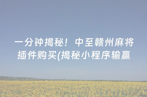 一分钟揭秘！中至赣州麻将插件购买(揭秘小程序输赢规律)