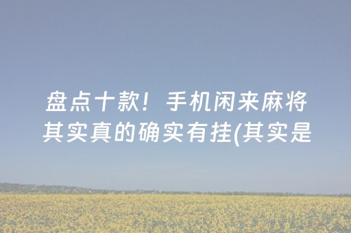盘点十款！手机闲来麻将其实真的确实有挂(其实是有挂确实有挂)