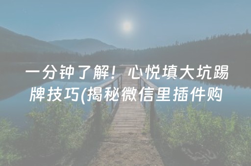 一分钟了解！心悦填大坑踢牌技巧(揭秘微信里插件购买)