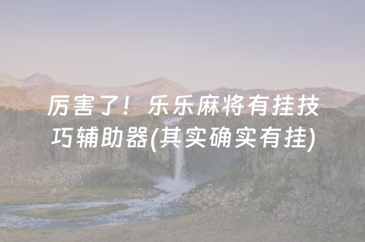 厉害了！乐乐麻将有挂技巧辅助器(其实确实有挂)