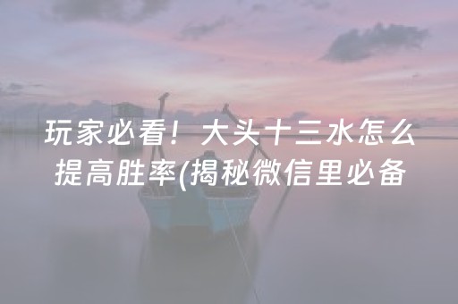 玩家必看！大头十三水怎么提高胜率(揭秘微信里必备神器)