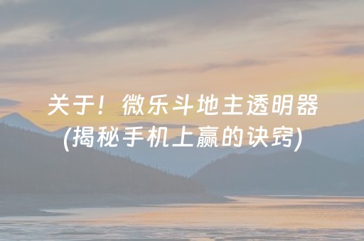 关于！微乐斗地主透明器(揭秘手机上赢的诀窍)