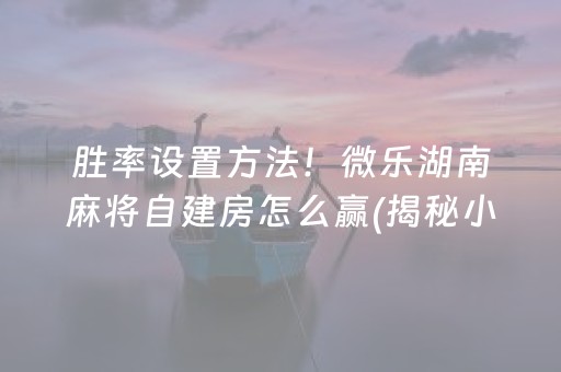 胜率设置方法！微乐湖南麻将自建房怎么赢(揭秘小程序专用神器)