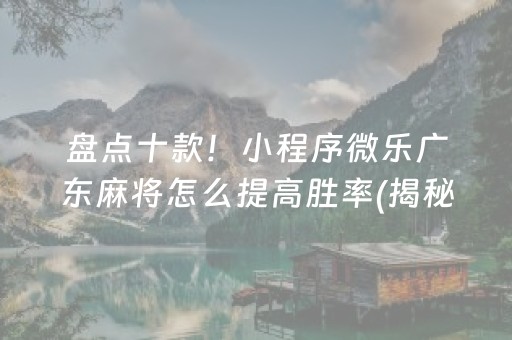 盘点十款！小程序微乐广东麻将怎么提高胜率(揭秘手机上胡牌神器)