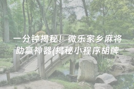 一分钟揭秘！微乐家乡麻将助赢神器(揭秘小程序胡牌技巧)
