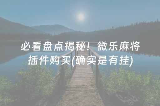 必看盘点揭秘！微乐麻将插件购买(确实是有挂)