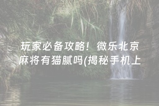 玩家必备攻略！微乐北京麻将有猫腻吗(揭秘手机上赢牌的技巧)