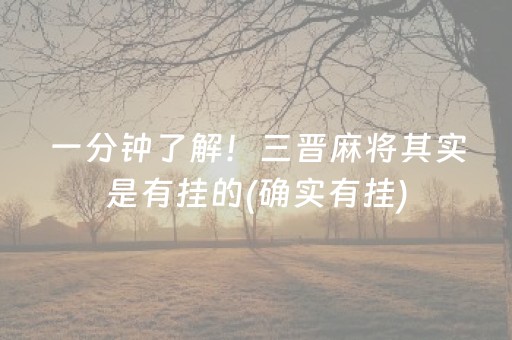 一分钟了解！三晋麻将其实是有挂的(确实有挂)