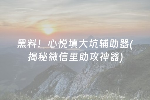 黑料！心悦填大坑辅助器(揭秘微信里助攻神器)