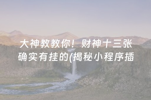 大神教教你！财神十三张确实有挂的(揭秘小程序插件购买)