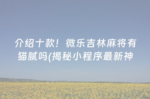 介绍十款！微乐吉林麻将有猫腻吗(揭秘小程序最新神器下载)