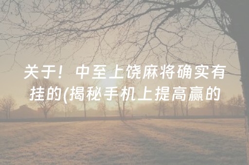 关于！中至上饶麻将确实有挂的(揭秘手机上提高赢的概率)