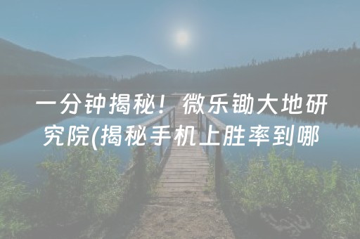 一分钟揭秘！微乐锄大地研究院(揭秘手机上胜率到哪调)