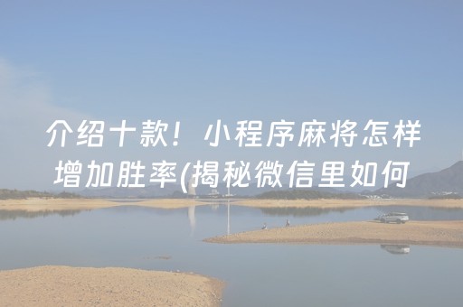 介绍十款！小程序麻将怎样增加胜率(揭秘微信里如何让牌变好)