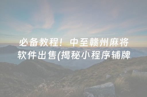 必备教程！中至赣州麻将软件出售(揭秘小程序辅牌器)