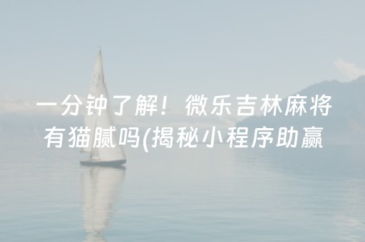 一分钟了解！微乐吉林麻将有猫腻吗(揭秘小程序助赢神器)