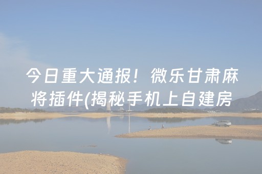今日重大通报！微乐甘肃麻将插件(揭秘手机上自建房怎么赢)