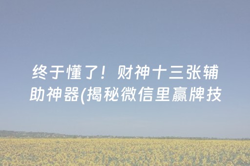 终于懂了！财神十三张辅助神器(揭秘微信里赢牌技巧)
