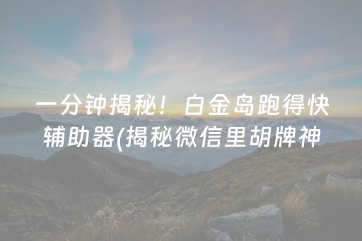 一分钟揭秘！白金岛跑得快辅助器(揭秘微信里胡牌神器)