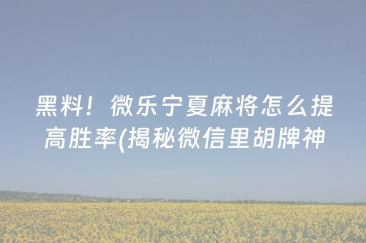 黑料！微乐宁夏麻将怎么提高胜率(揭秘微信里胡牌神器)