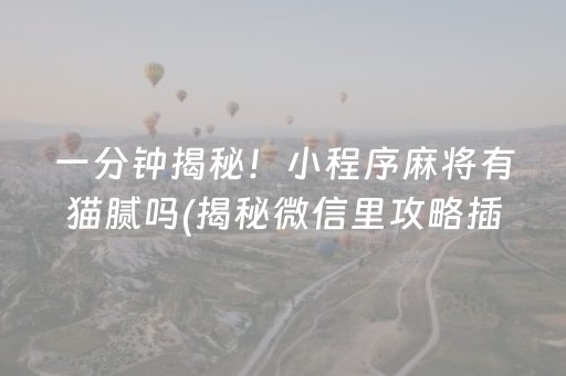 一分钟揭秘！小程序麻将有猫腻吗(揭秘微信里攻略插件)