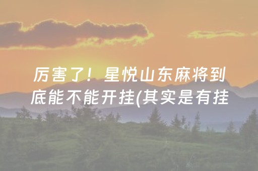 厉害了！星悦山东麻将到底能不能开挂(其实是有挂确实有挂)