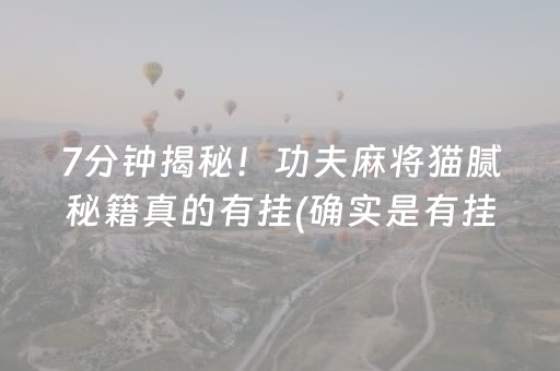 7分钟揭秘！功夫麻将猫腻秘籍真的有挂(确实是有挂的)