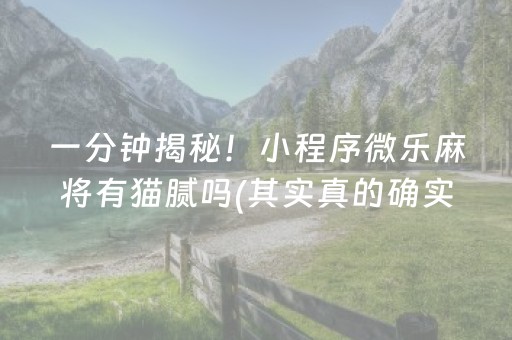 一分钟揭秘！小程序微乐麻将有猫腻吗(其实真的确实有挂)