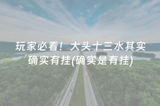 玩家必看！大头十三水其实确实有挂(确实是有挂)