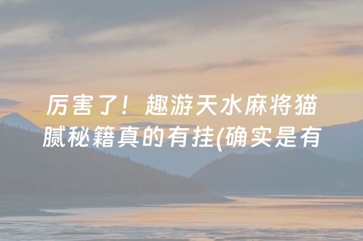 厉害了！趣游天水麻将猫腻秘籍真的有挂(确实是有挂的)
