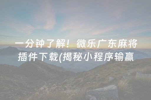 一分钟了解！微乐广东麻将插件下载(揭秘小程序输赢规律)