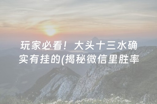 玩家必看！大头十三水确实有挂的(揭秘微信里胜率到哪调)