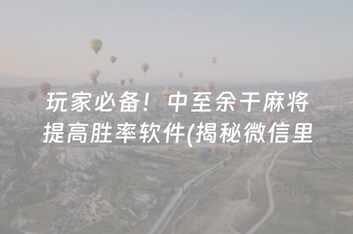 玩家必备！中至余干麻将提高胜率软件(揭秘微信里赢的诀窍)