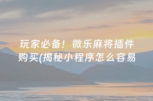 玩家必备！微乐麻将插件购买(揭秘小程序怎么容易赢)