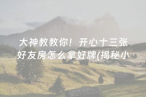 大神教教你！开心十三张好友房怎么拿好牌(揭秘小程序助赢神器购买)