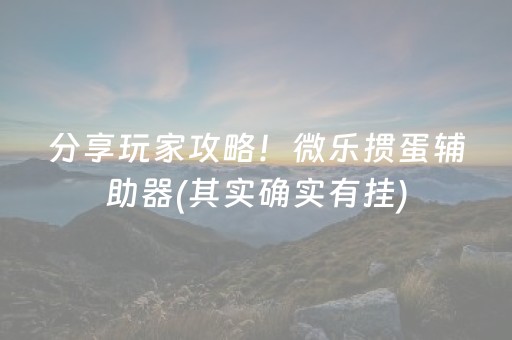 分享玩家攻略！微乐掼蛋辅助器(其实确实有挂)