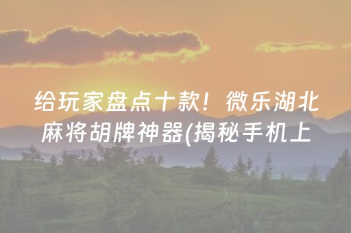 给玩家盘点十款！微乐湖北麻将胡牌神器(揭秘手机上系统发好牌)