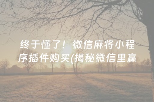 终于懂了！微信麻将小程序插件购买(揭秘微信里赢的秘诀)