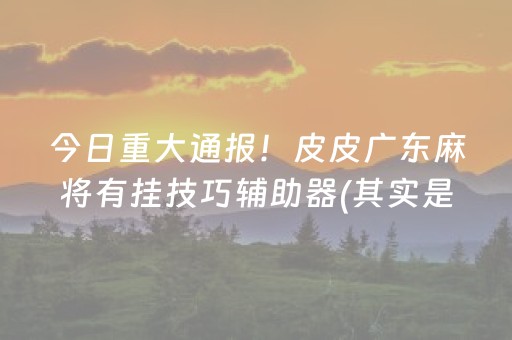 今日重大通报！皮皮广东麻将有挂技巧辅助器(其实是有挂的)