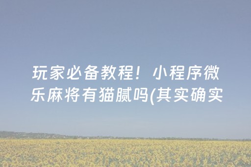玩家必备教程！小程序微乐麻将有猫腻吗(其实确实有挂)