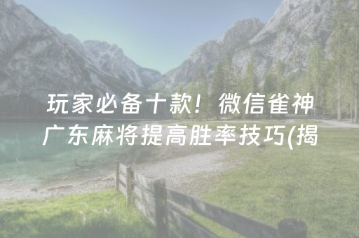 玩家必备十款！微信雀神广东麻将提高胜率技巧(揭秘微信里辅牌器)